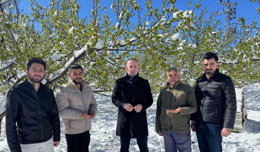Malatya’da kayısı da don felaketi