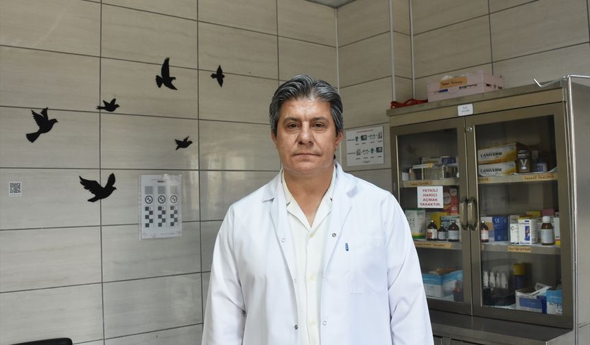 Afyonkarahisar'da tedavisi tamamlanan yılan doğaya salındı