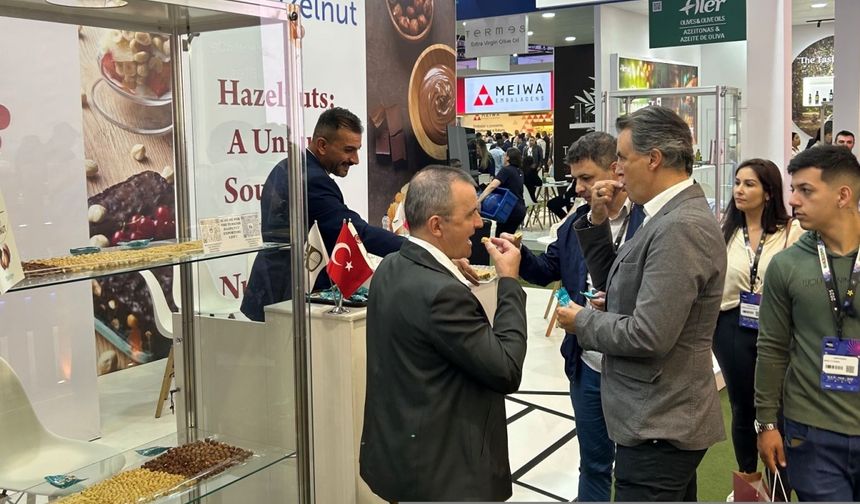 Türk fındığı Güney Amerika'da tanıtıldı