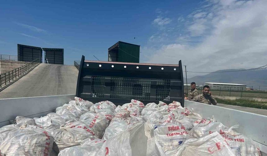 Ağrı’da 2 ton kaçak inci kefali ele geçirildi