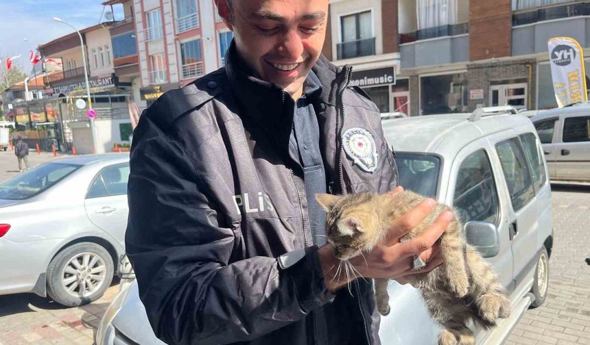 Aracın motoruna giren yavru kediyi polis kurtardı