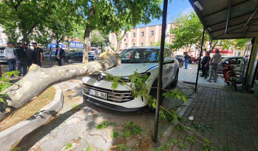 Çınar ağacının kopan dalı lüks araçta hasara yol açtı