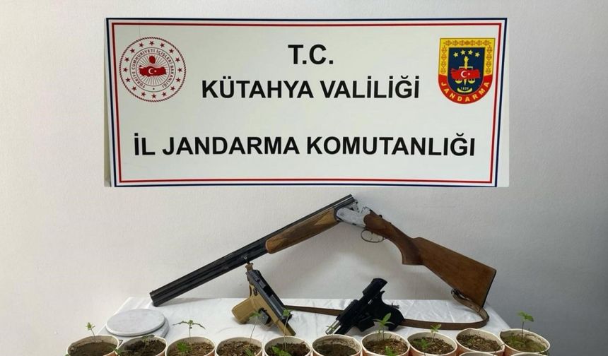 Jandarmadan kenevir operasyonu