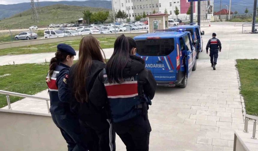 Sahte araç kiralama siteleriyle 160 milyon TL vurgun yapan çeteye 5 ilde operasyon: 19 gözaltı