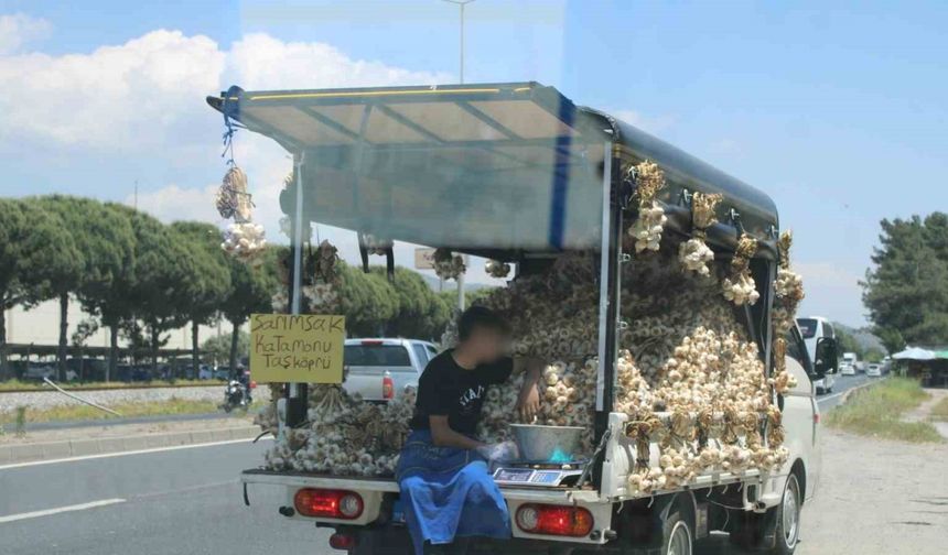 Sarımsak satıcısının tehlikeli yolculuğu