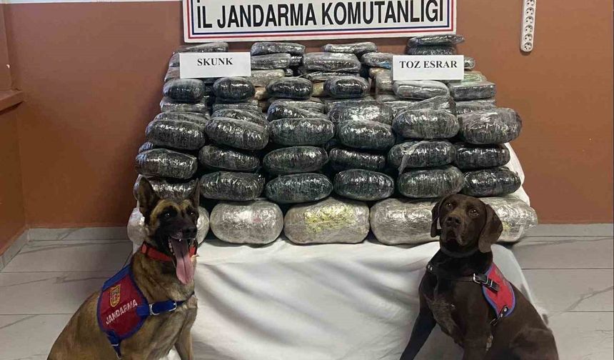Van’da 90 kilo uyuşturucu ele geçirildi