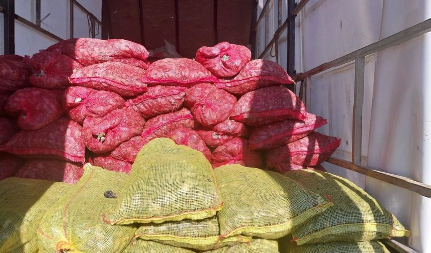 Anadolu Otoyolu'nda durdurulan kamyonette kaçak avlanan 5,4 ton midye ele geçirildi