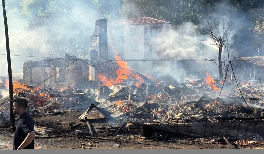 Bartın'da çıkan yangında 2 ev ile 2 samanlık kullanılamaz hale geldi