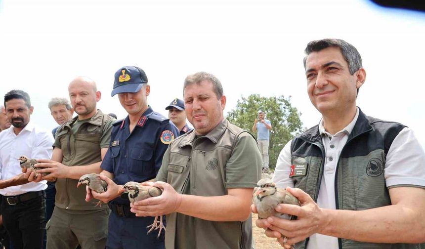 Adana’da doğaya 500 keklik salındı