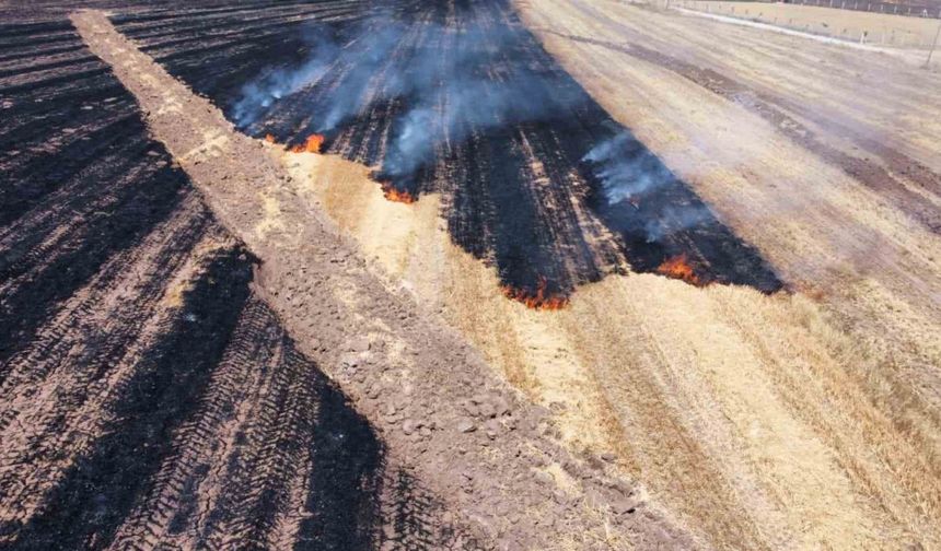 Alaca’da anız yangını: 70 dönüm arazi kül oldu
