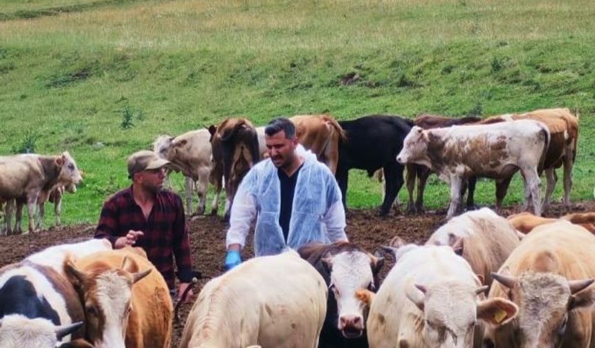 Ardahan Valiliği’nden şap açıklaması