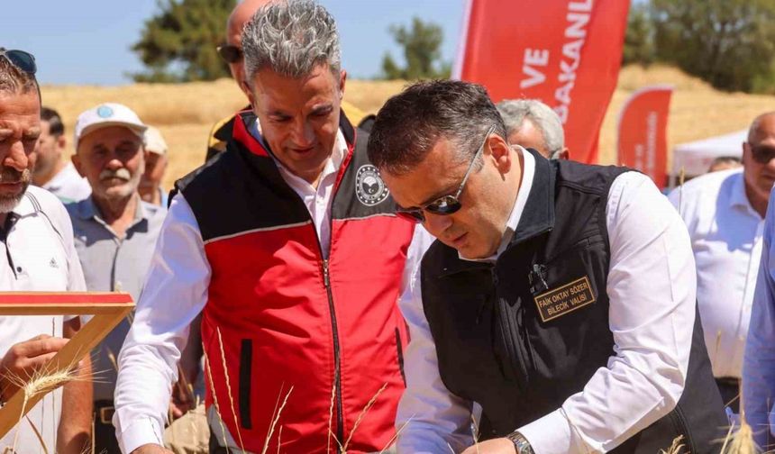 Bilecik’te bu yıl 75 bin 104 ton buğday hasadı yapılacak