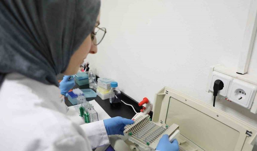 Kanseri önlemede yeni umut: kereviz tohumu
