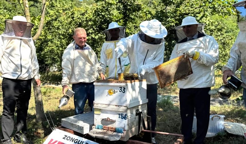 Kestane balı hasadı Çaycuma’da gerçekleştirildi