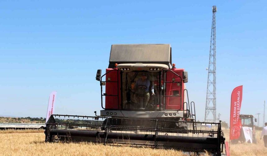 Kırklareli Valisi Turan, buğday hasadına katıldı