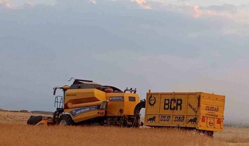 Patnosta buğday hasadı başladı