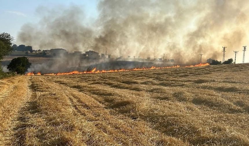 Samsun’da korkutan anız yangını