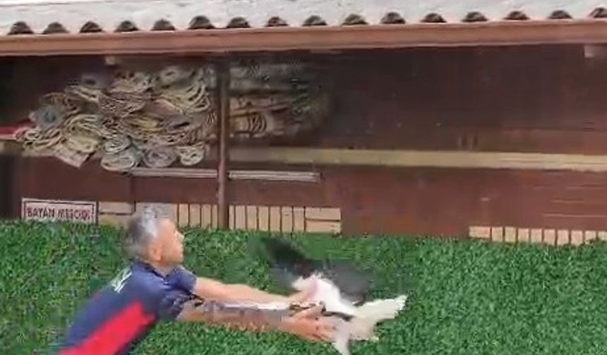 Tek ayaklı leyleği havada yakaladı, itfaiye erinin refleksi leyleğin hayatını kurtardı
