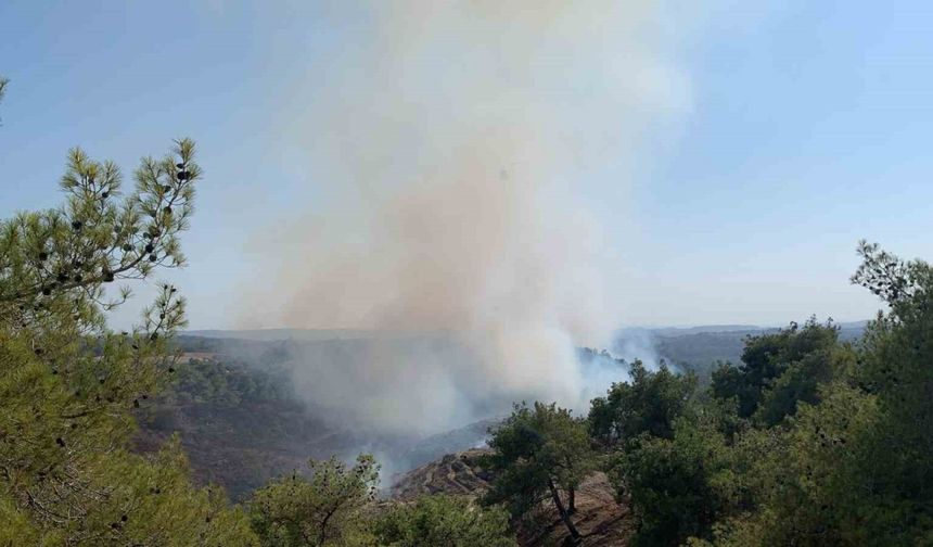 Adana’da orman yangını