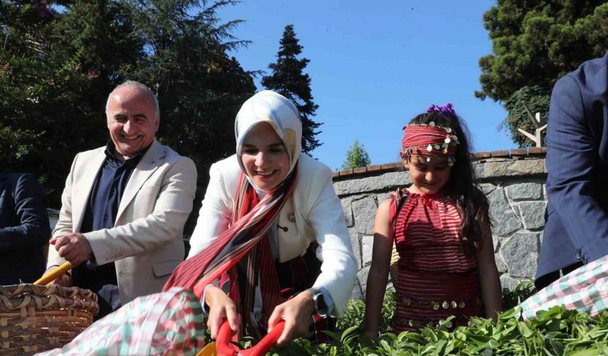 Bakan Göktaş’tan Rize’de Aile Yılı kapsamında ziyaretler