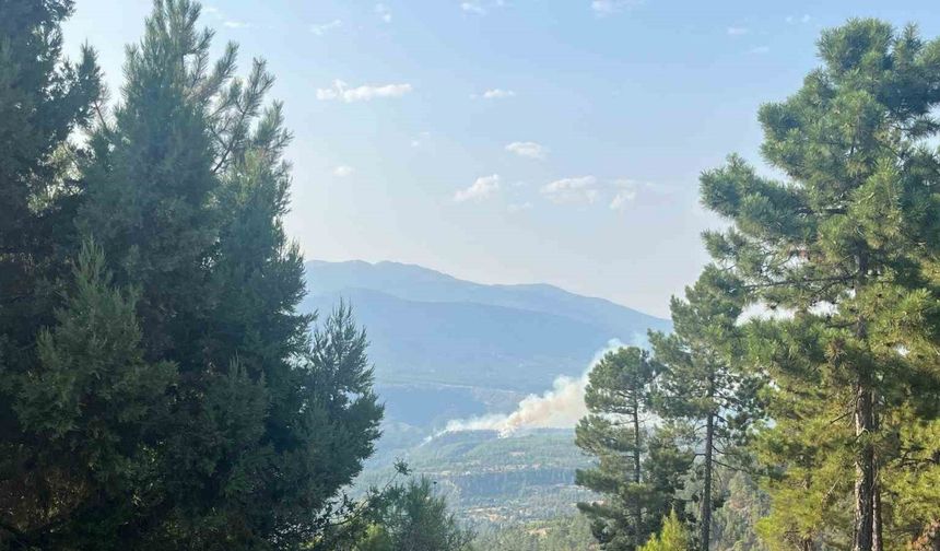 Denizli’de sarp bölgede devam eden yangına müdahale ediliyor