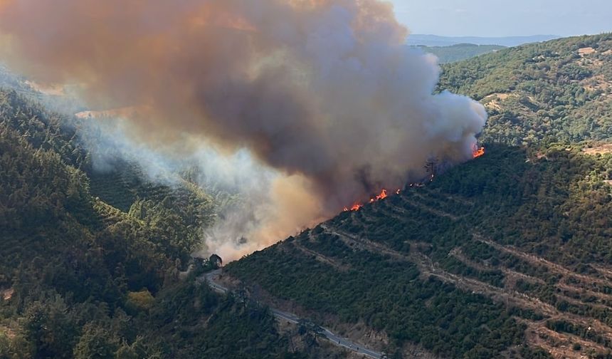 Balıkesir'de kaza yapan aracın neden olduğu orman yangınına müdahale ediliyor