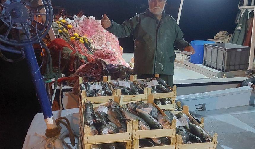 Kırklareli'nin İğneada beldesinde balıkçılar ağlarını lüferle doldurdu