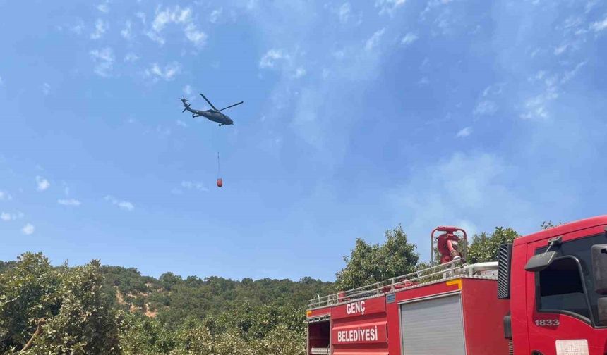 Bingöl’de orman yangını: Havadan karadan müdahale sürüyor