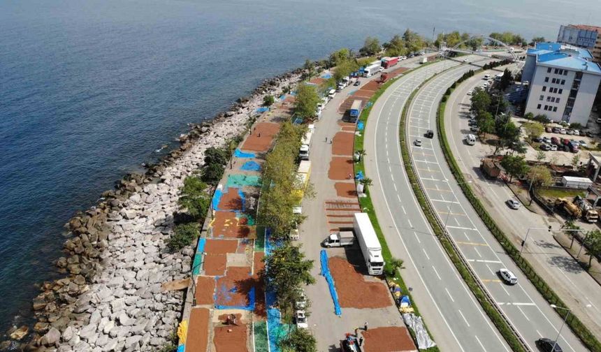 Giresun’da fındık hasadının ardından üreticilerin kurutma mesaisi sürüyor