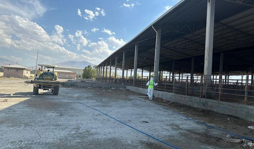 Hayvan pazarında dezenfeksiyon çalışması yapıldı
