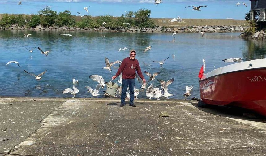 Martılarla kurduğu bağ görenleri şaşırtıyor