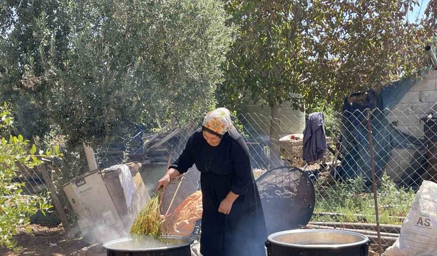Şanlıurfa’da üzümün pekmez yolculuğu başladı