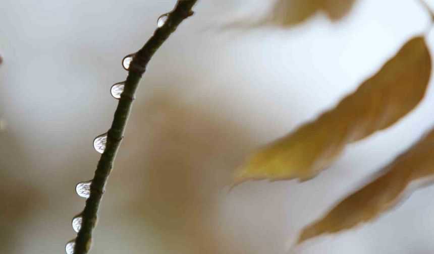 Bursa’da 2 günlük yağışlar ekim ayını kurtardı