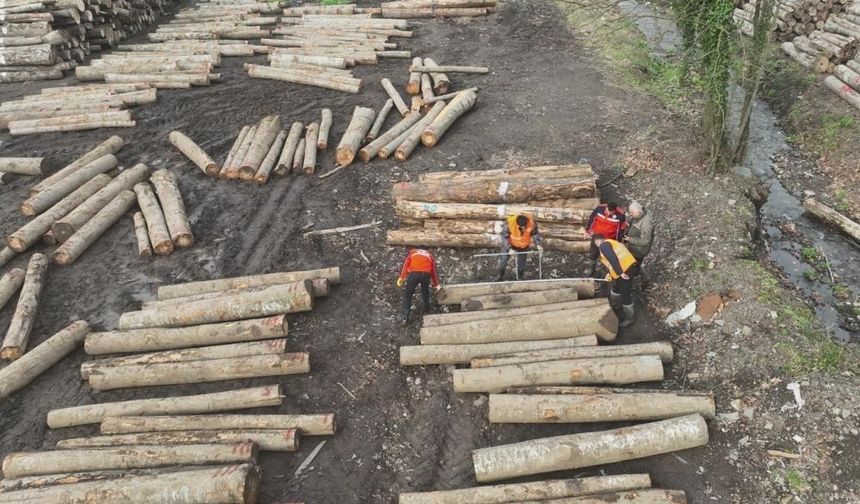 Düzce’den 11 bin 596,5 ton orman ürünü ihraç edildi