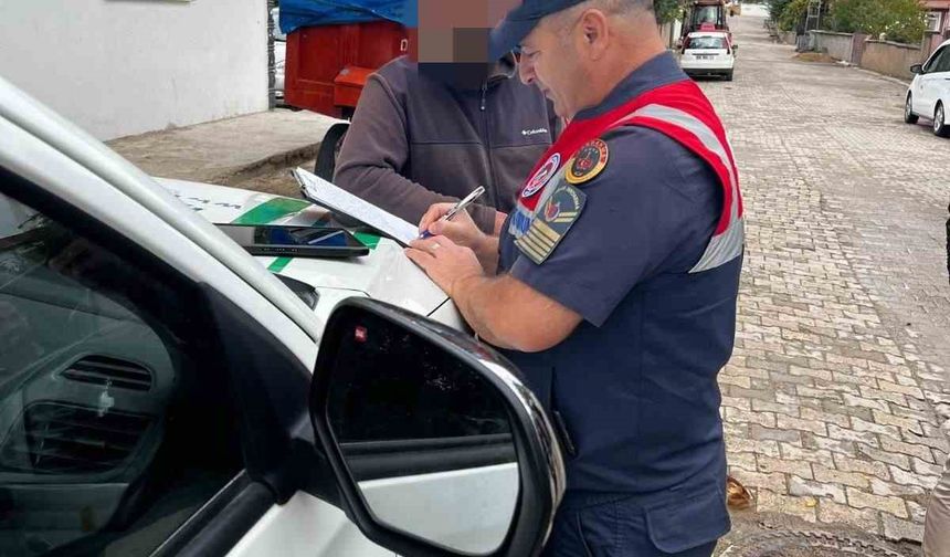 Pitbull besledi 16 bin lira ceza yedi