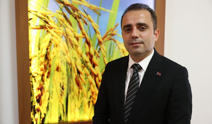 AB'den tam not alan İpsala pirinci dünya markası olma hedefiyle üretilecek