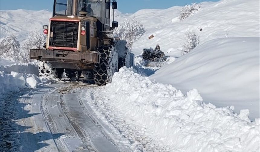 Hakkari ve Muş'ta kapanan 44 yerleşim yerinin yolu ulaşıma açıldı