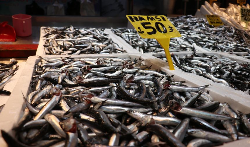 Hamsi bolluğu Trabzon'daki balıkçı tezgahlarında fiyatlara yansıdı