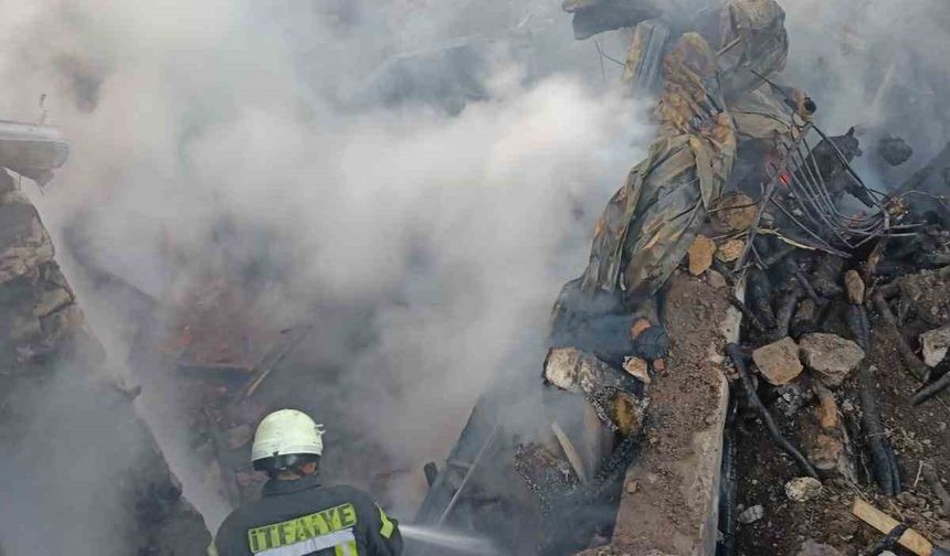 Ahırda başlayan yangın iki eve sıçradı