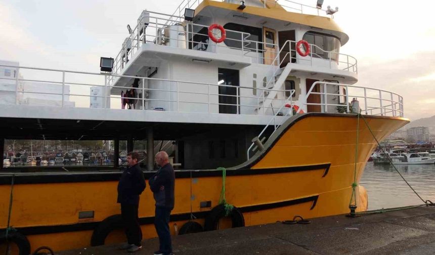 Karadeniz’den bu sezon adeta hamsi fışkırıyor