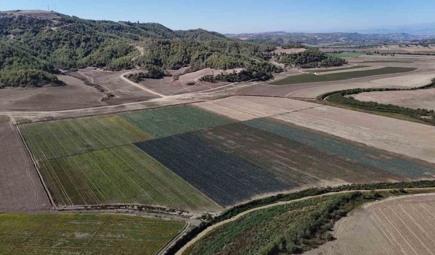 Kuraklığın vurduğu Seyhan Baraj Gölü’nün çevresi tarım arazisi oldu üretim başladı