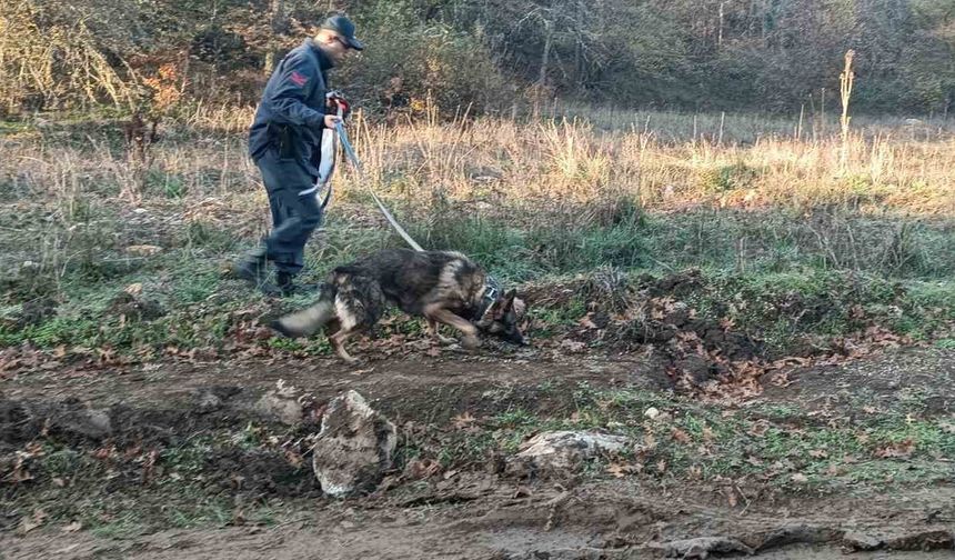 Mantar toplamak için gittiği ormanlık alanda kaybolan adamı 96 kişilik ekip arıyor