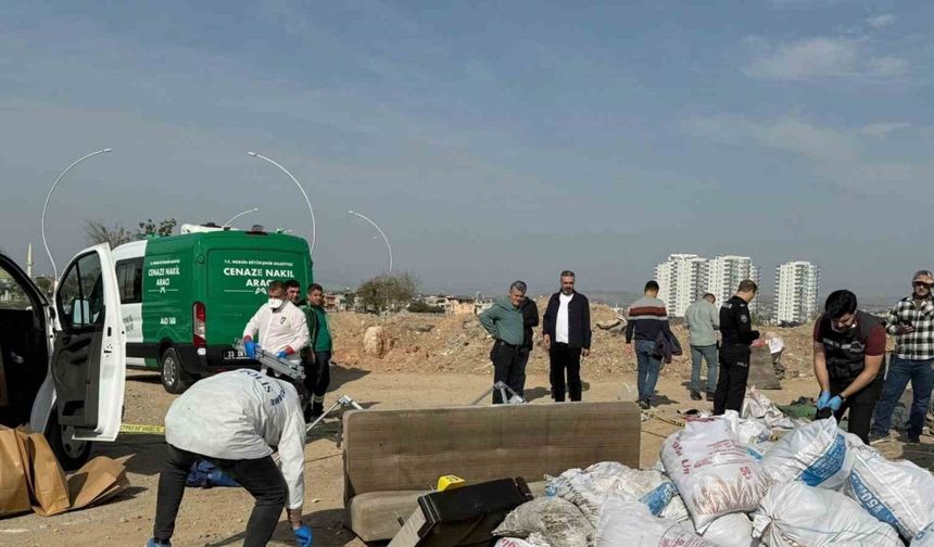 Mersin’de korkunç cinayet: Öldürüp tuzlayıp halıya sarıp çekyatla atmışlar