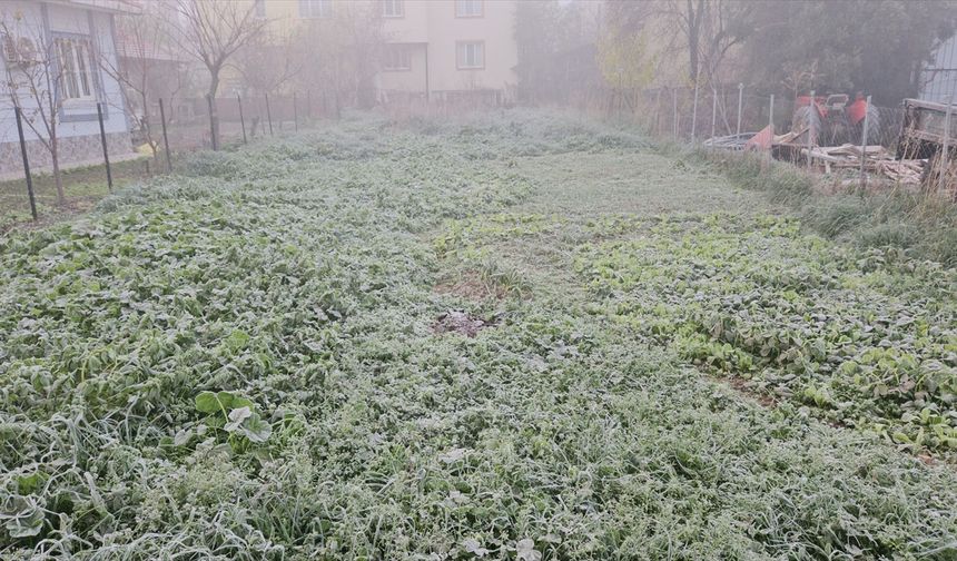 Balıkesir'de sis ve soğuk hava etkili oldu