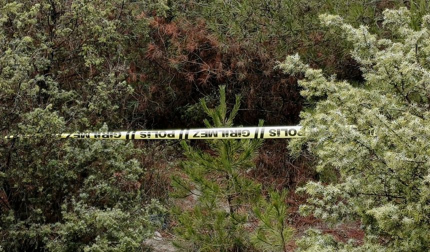 Karabük'te kayıp kişi ormanlık alanda ölü bulundu