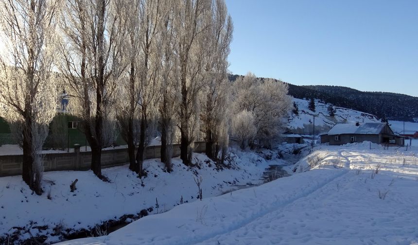 Kars, Ardahan ve Ağrı'da dondurucu soğuklar etkisini sürdürüyor