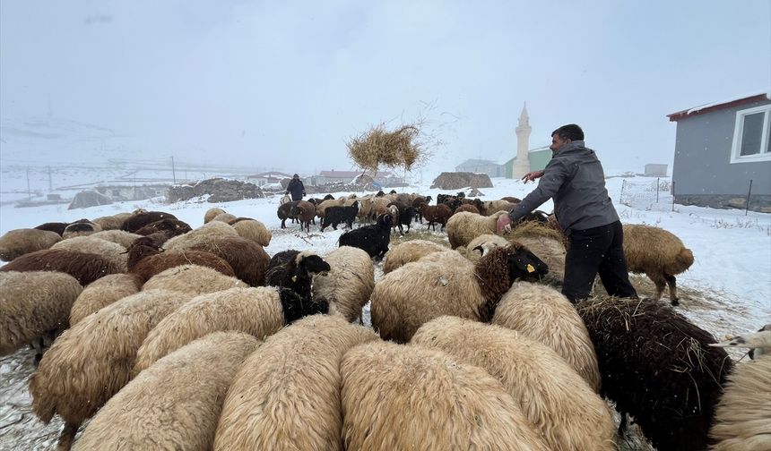 Kars'ta besicilerin zorlu kış mesaisi başladı
