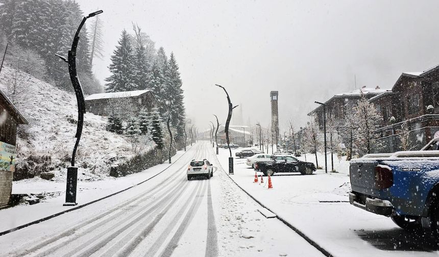 Rize ve Artvin'de kar etkili oldu