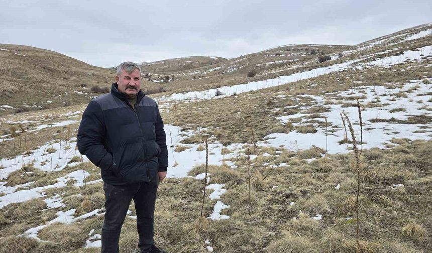 Babasıyla tartıştı, vadeli koyun alarak kendi sürüsüne sahip oldu