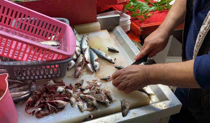 Doğru bilinen yanlışı uzmanı açıkladı: "Gözüne bakıp tazeliğini anlarım diyen yalan söyler"
